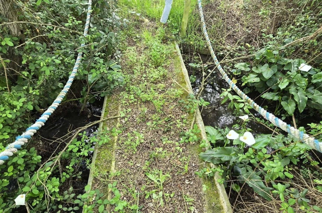 Quinta T4 para Venda em Grândola e Santa Margarida da Serra Foto 34