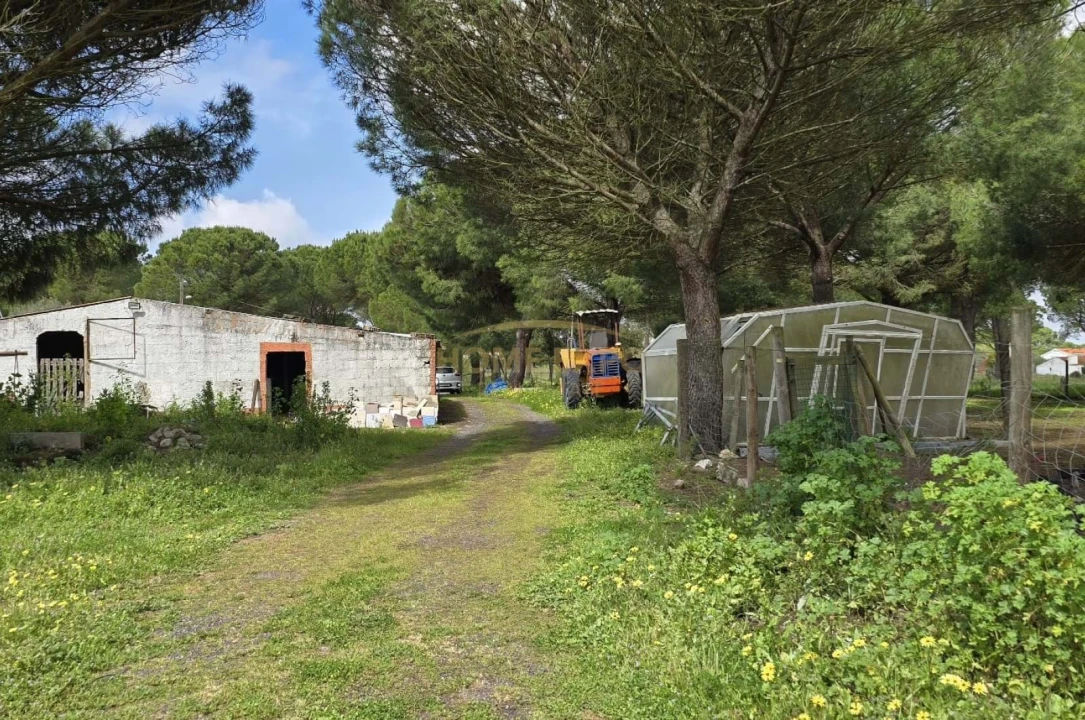 Quinta T4 para Venda em Grândola e Santa Margarida da Serra Foto 41