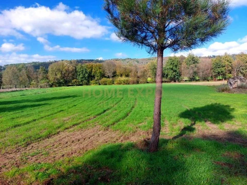 Terreno Agricola ou Rústico para Venda em Vila da Ponte Foto 4