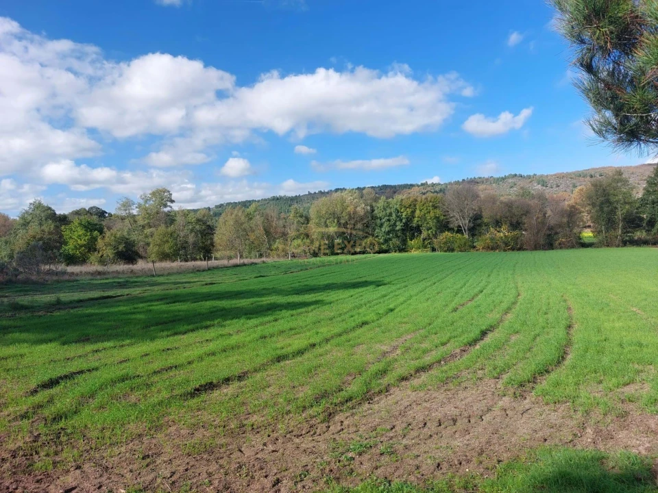 Terreno Agricola ou Rústico para Venda em Vila da Ponte Foto 6
