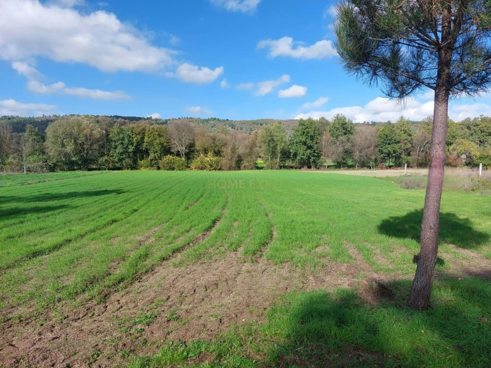 Terreno Agricola ou Rústico para Venda em Vila da Ponte Foto 5