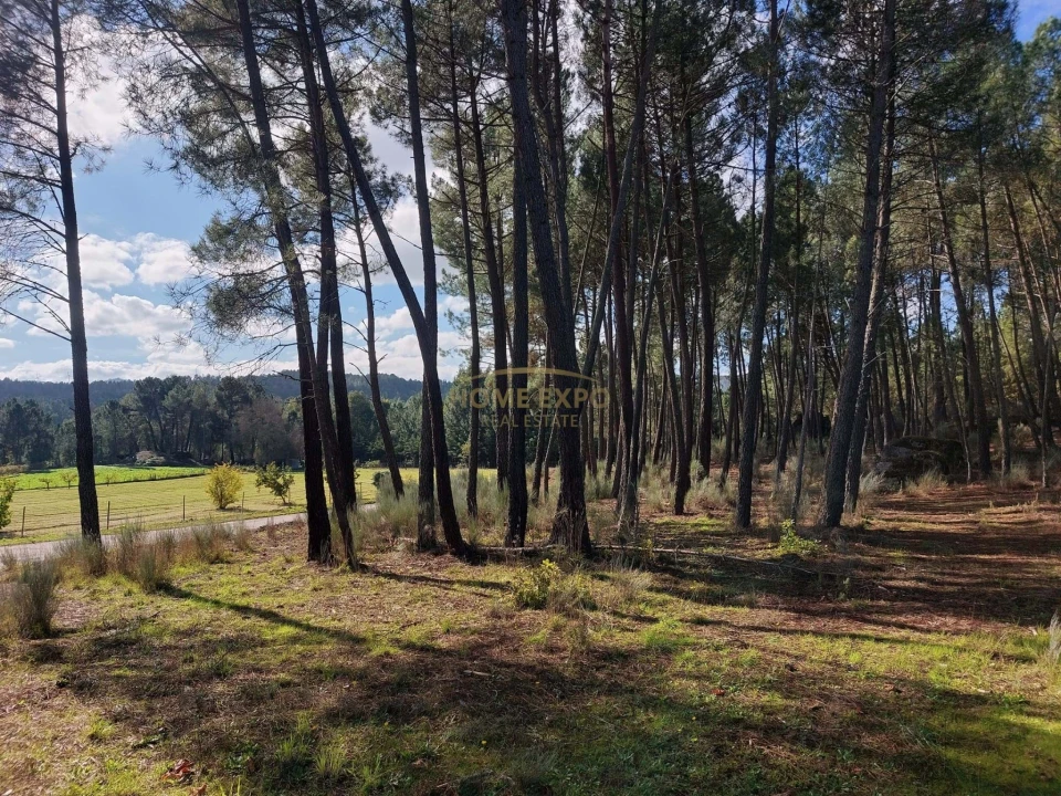 Terreno Agricola ou Rústico para Venda em Vila da Ponte Foto 3