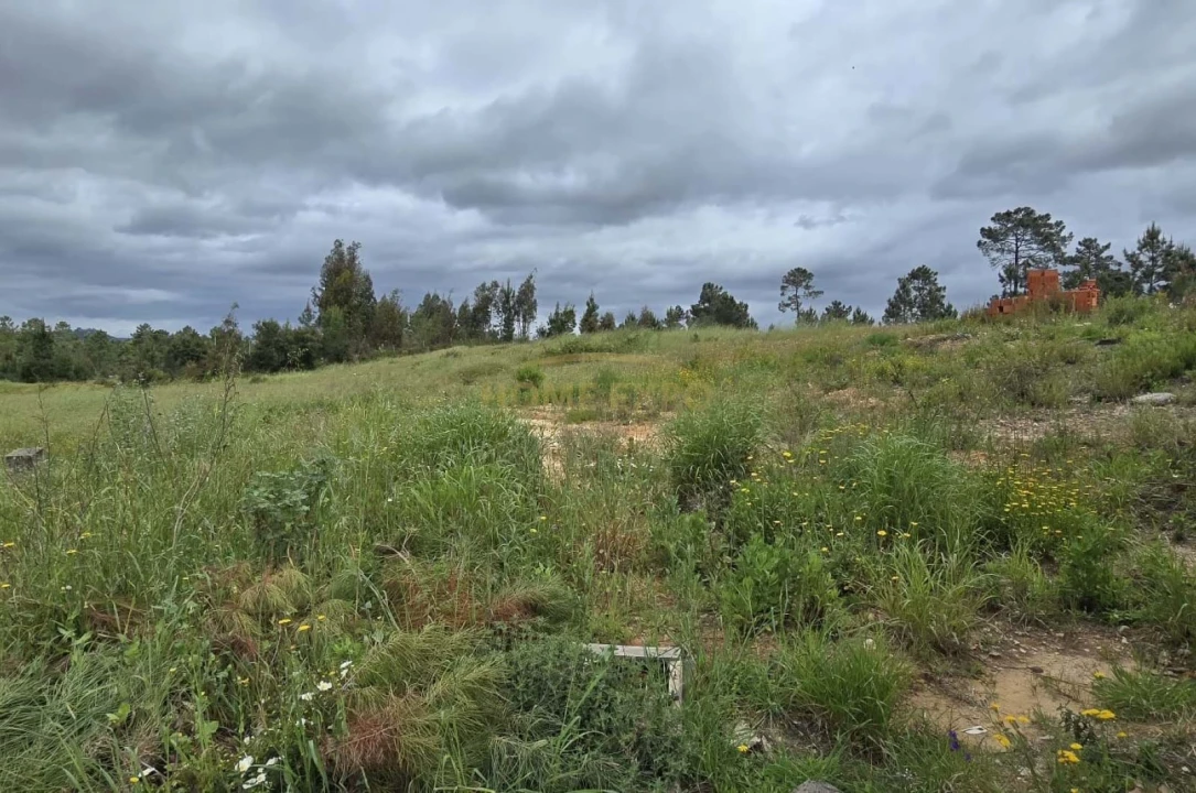 Moradia T5 para Venda em Abrantes (São Vicente e São João) e Alferrarede Foto 10