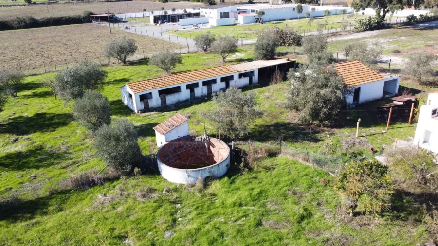 Quinta T3 para Venda em Grândola e Santa Margarida da Serra Foto 6