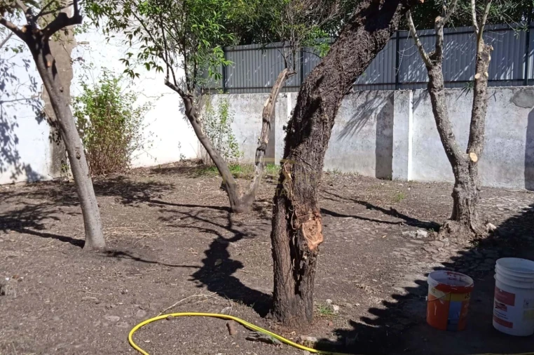 Moradia T9 para Venda em Alter do Chão Foto 13