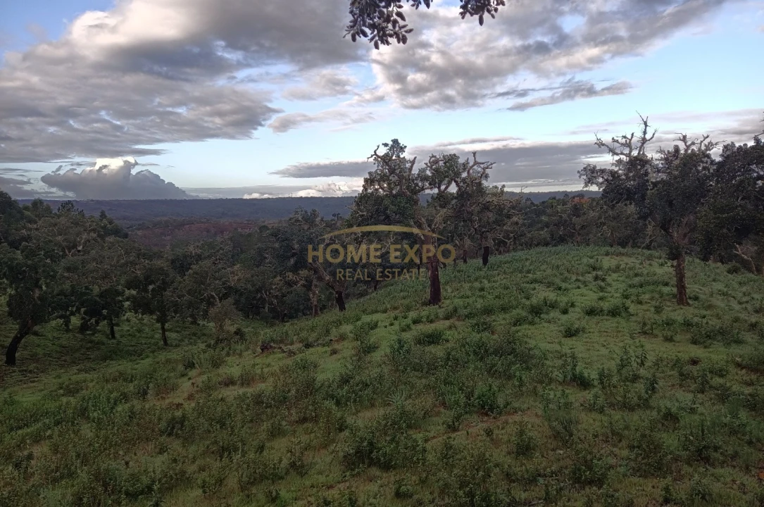 Terreno Agricola ou Rústico para Venda em Grândola e Santa Margarida da Serra Foto 6