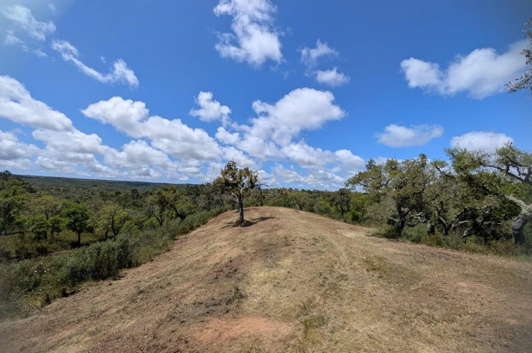 Terreno Agricola ou Rústico para Venda em Grândola e Santa Margarida da Serra Foto 1