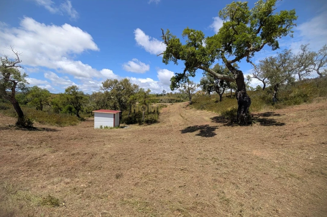 Terreno Agricola ou Rústico para Venda em Grândola e Santa Margarida da Serra Foto 18