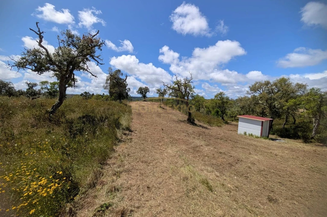 Terreno Agricola ou Rústico para Venda em Grândola e Santa Margarida da Serra Foto 17