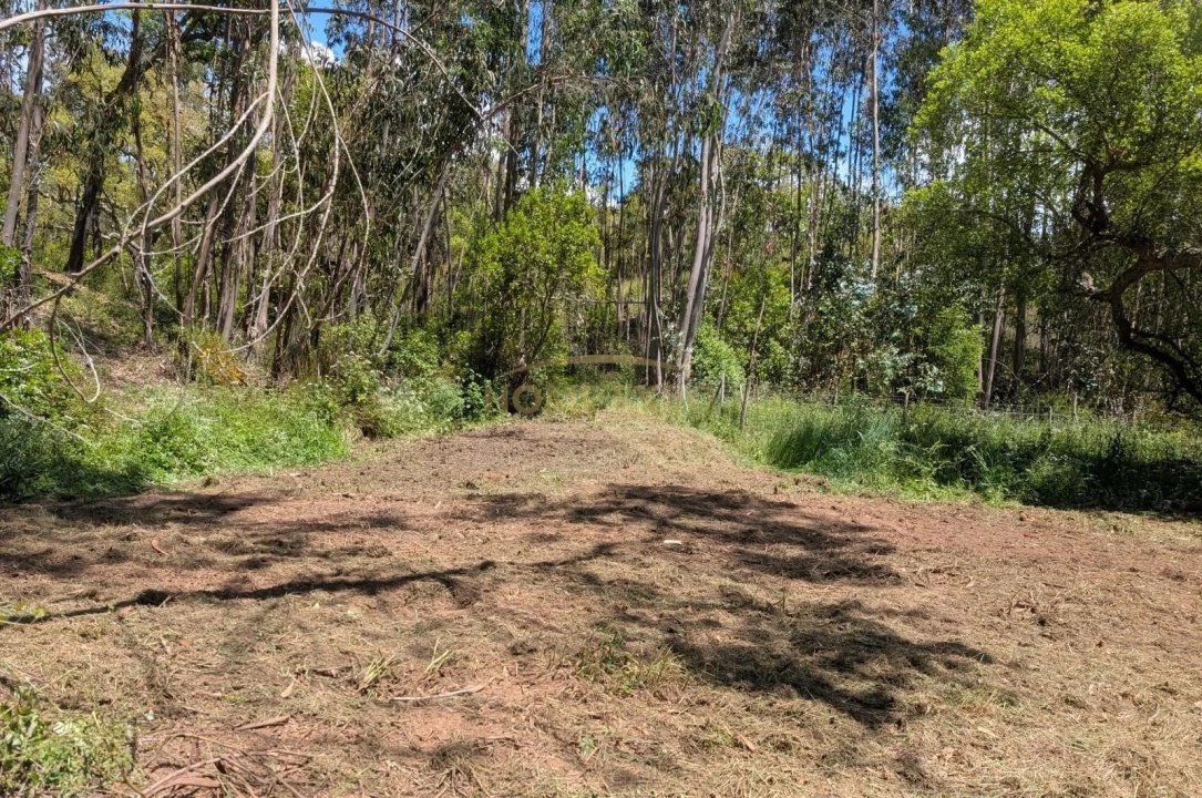 Terreno Agricola ou Rústico para Venda em Grândola e Santa Margarida da Serra Foto 9