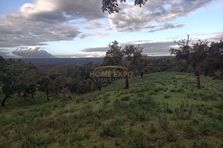 Terreno Agricola ou Rústico para Venda em Grândola e Santa Margarida da Serra Foto 6