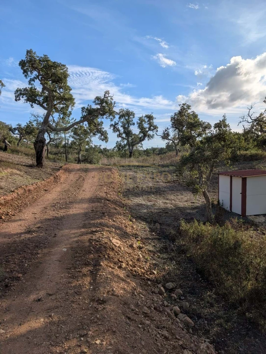 Terreno Agricola ou Rústico para Venda em Grândola e Santa Margarida da Serra Foto 24