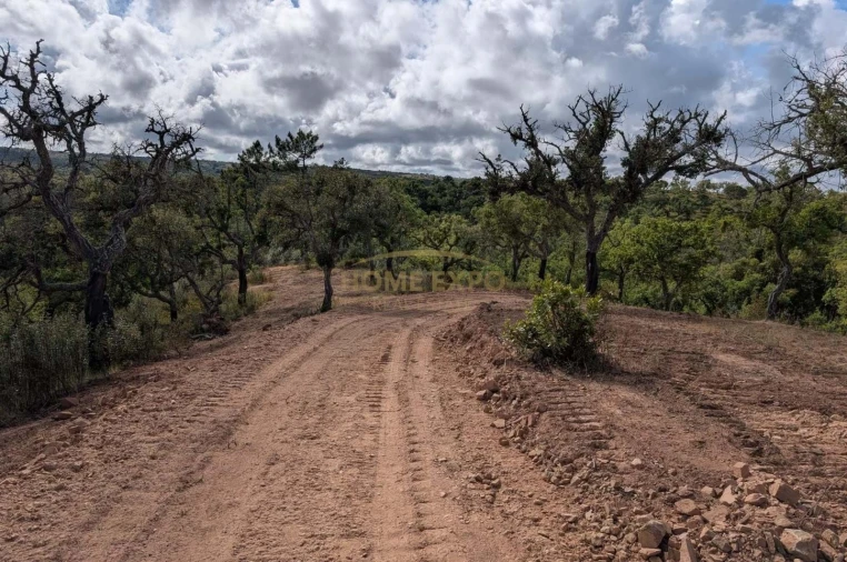 Terreno Agricola ou Rústico para Venda em Grândola e Santa Margarida da Serra Foto 20