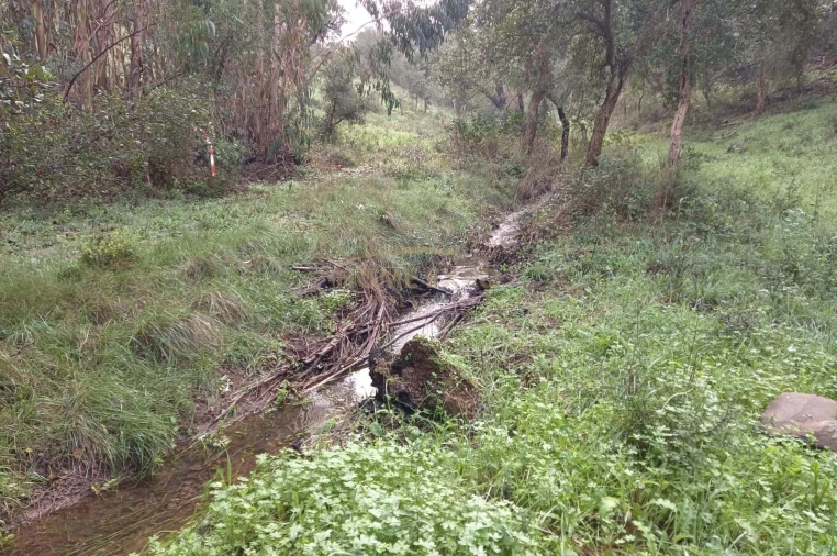 Terreno Agricola ou Rústico para Venda em Grândola e Santa Margarida da Serra Foto 5