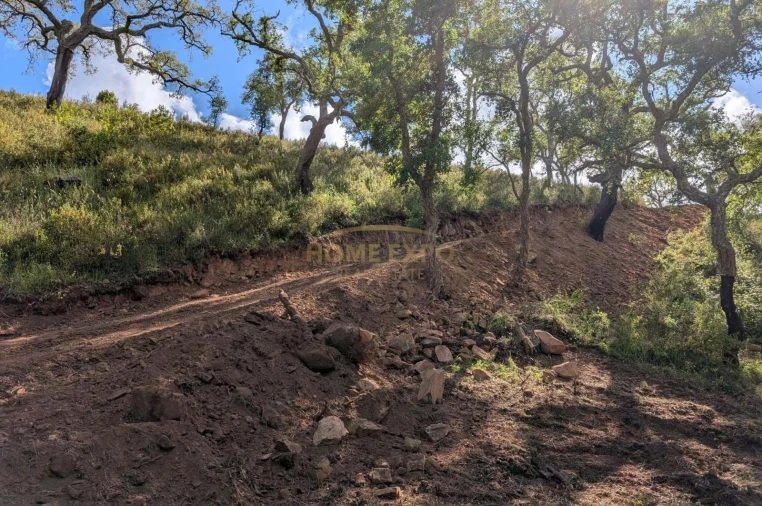 Terreno Agricola ou Rústico para Venda em Grândola e Santa Margarida da Serra Foto 2