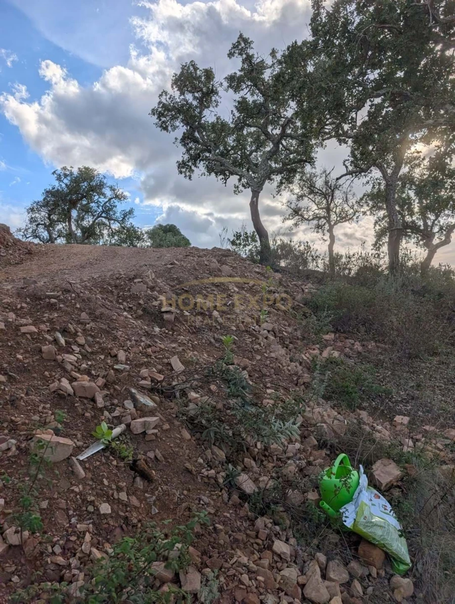Terreno Agricola ou Rústico para Venda em Grândola e Santa Margarida da Serra Foto 25