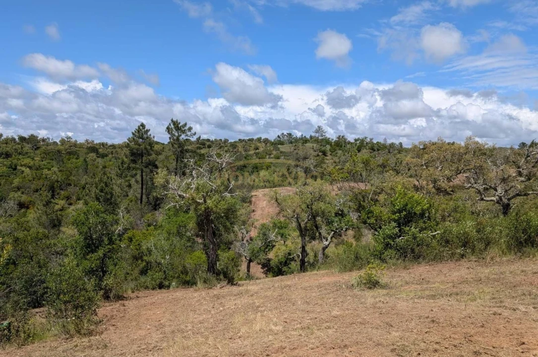Terreno Agricola ou Rústico para Venda em Grândola e Santa Margarida da Serra Foto 12