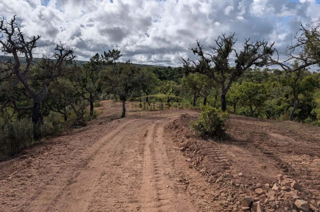 Terreno Agricola ou Rústico para Venda em Grândola e Santa Margarida da Serra Foto 20