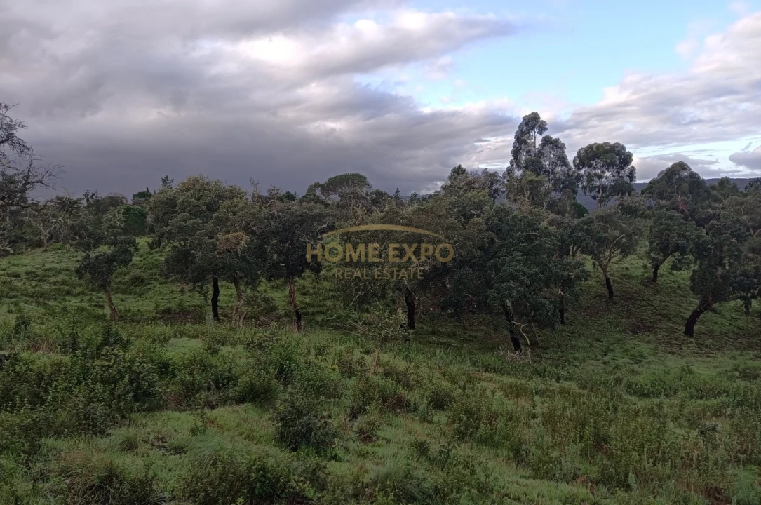 Terreno Agricola ou Rústico para Venda em Grândola e Santa Margarida da Serra Foto 10
