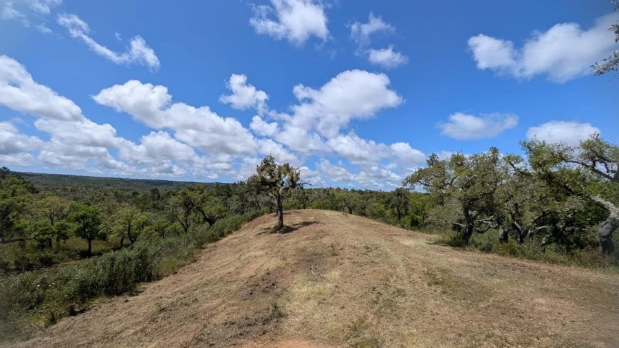 Terreno Agricola ou Rústico para Venda em Grândola e Santa Margarida da Serra