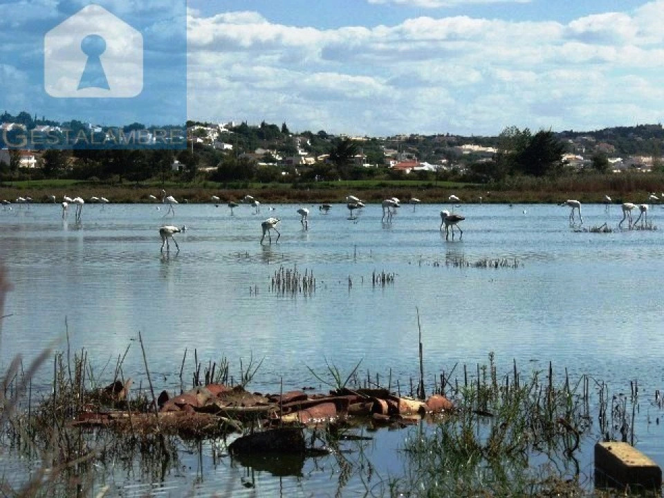 Apartamento T2 para Venda em Guia Foto 44