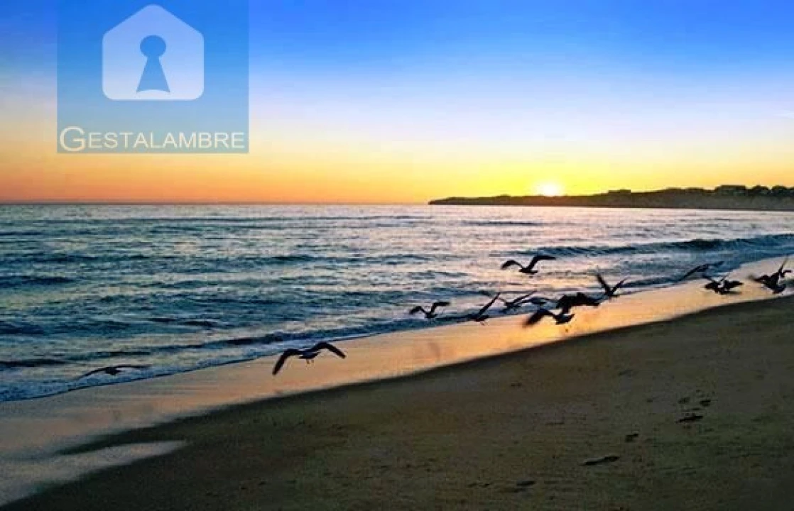 Apartamento T2 para Venda em Guia Foto 47