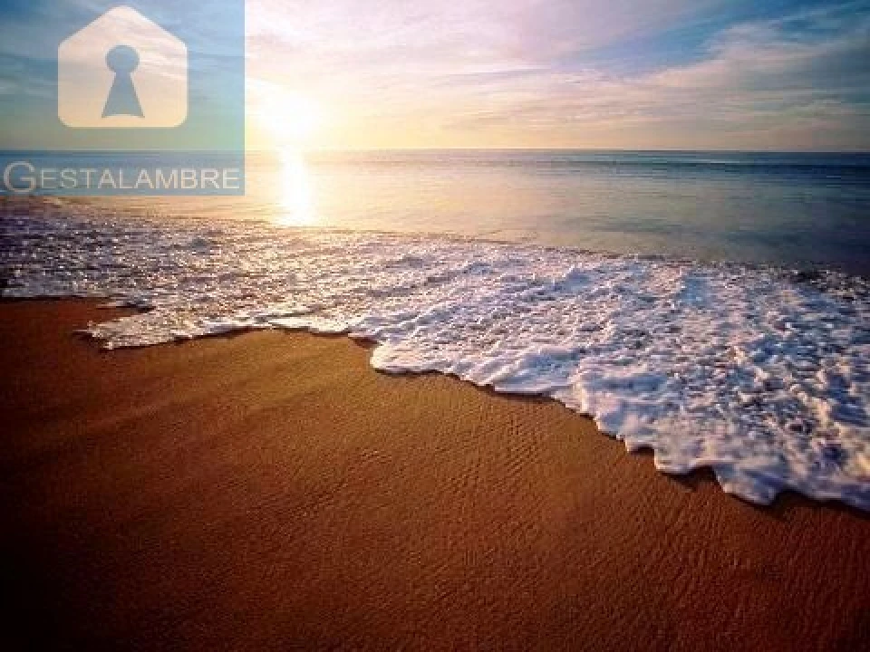 Apartamento T2 para Venda em Guia Foto 46