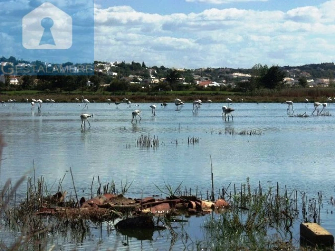 Apartamento T2 para Venda em Guia Foto 44