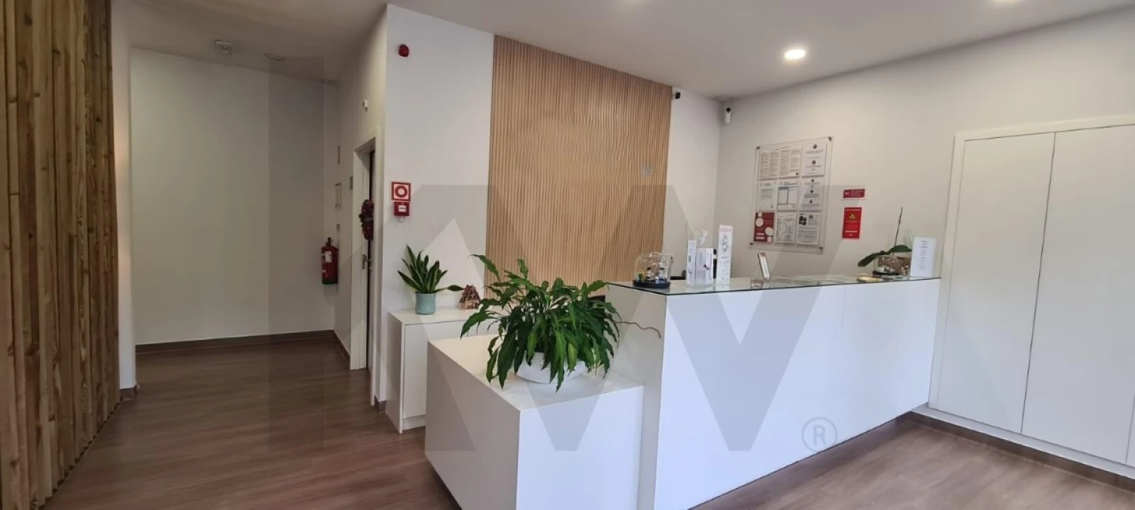 Loja para Venda em São Domingos de Benfica Foto 3