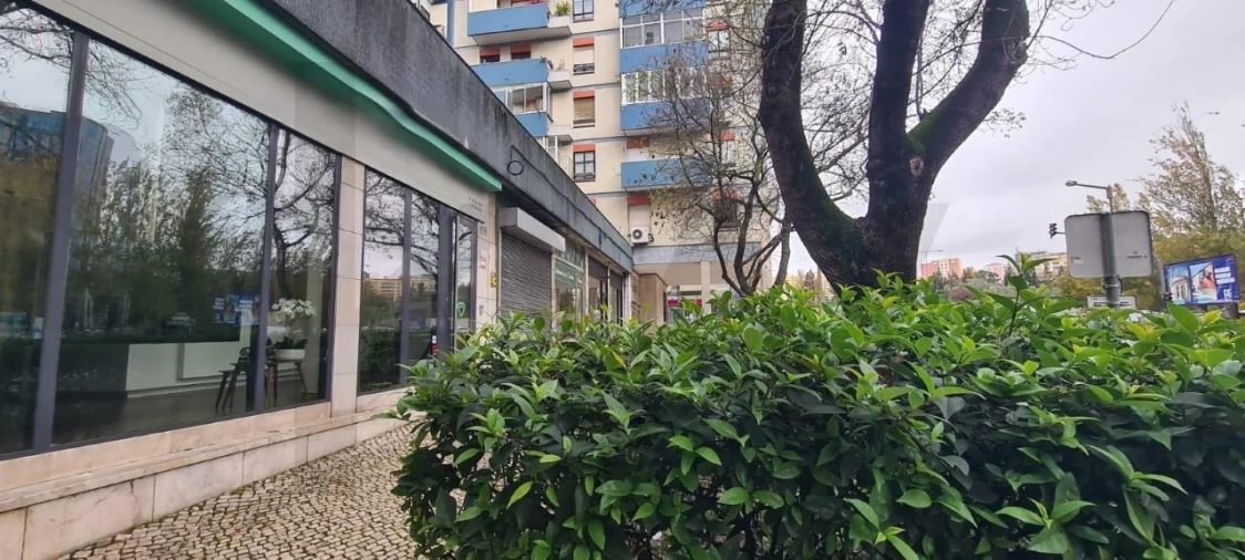 Loja para Venda em São Domingos de Benfica Foto 15