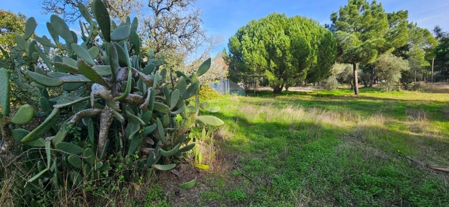 Terreno para Venda em Melides Foto 4