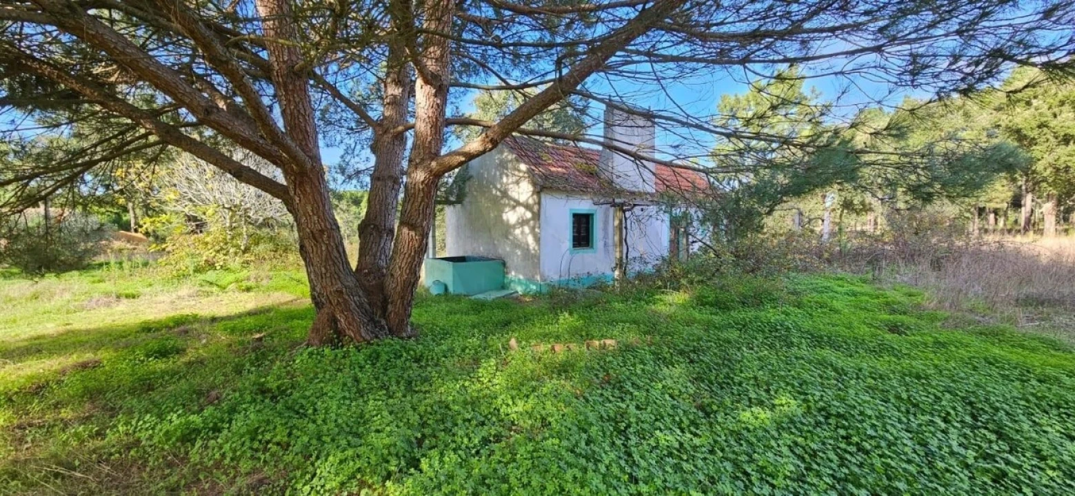 Terreno para Venda em Melides Foto 6