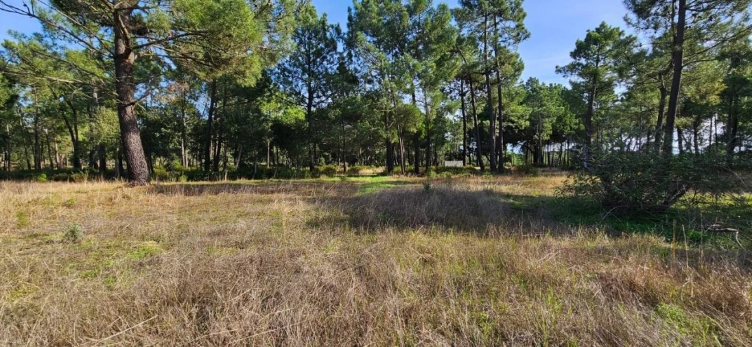 Terreno para Venda em Melides Foto 7