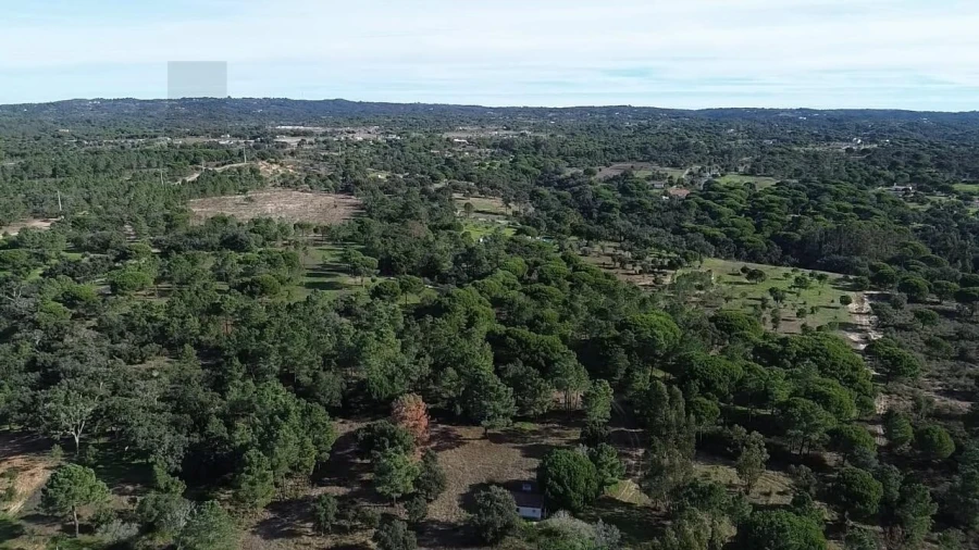 Terreno para Venda em Melides Foto 10