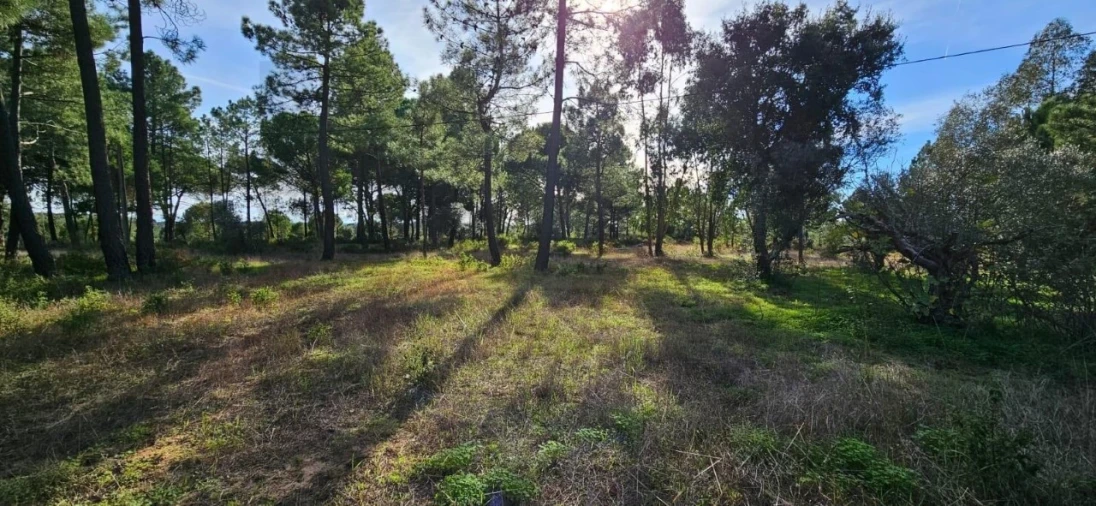Terreno para Venda em Melides Foto 11