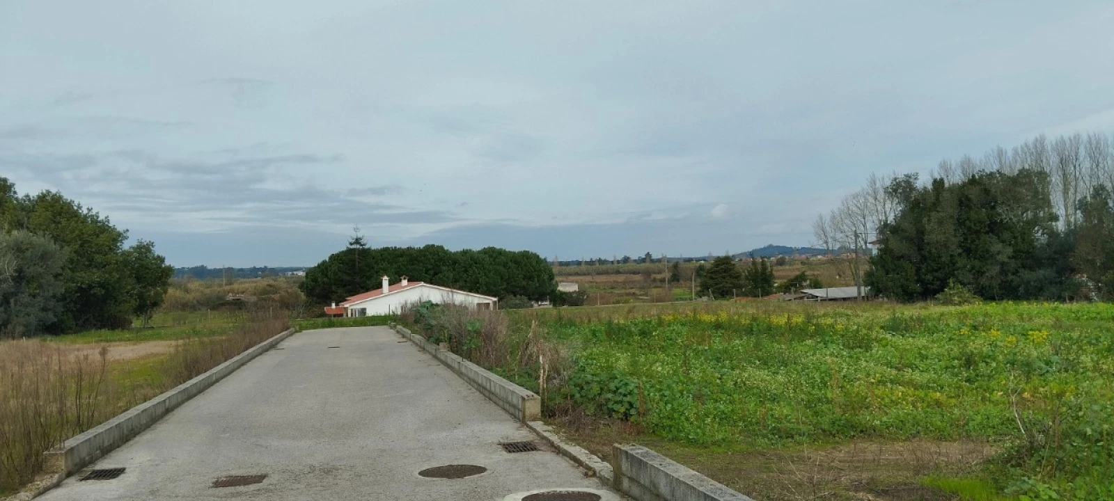 Terreno para Venda em Monte Real e Carvide Foto 1