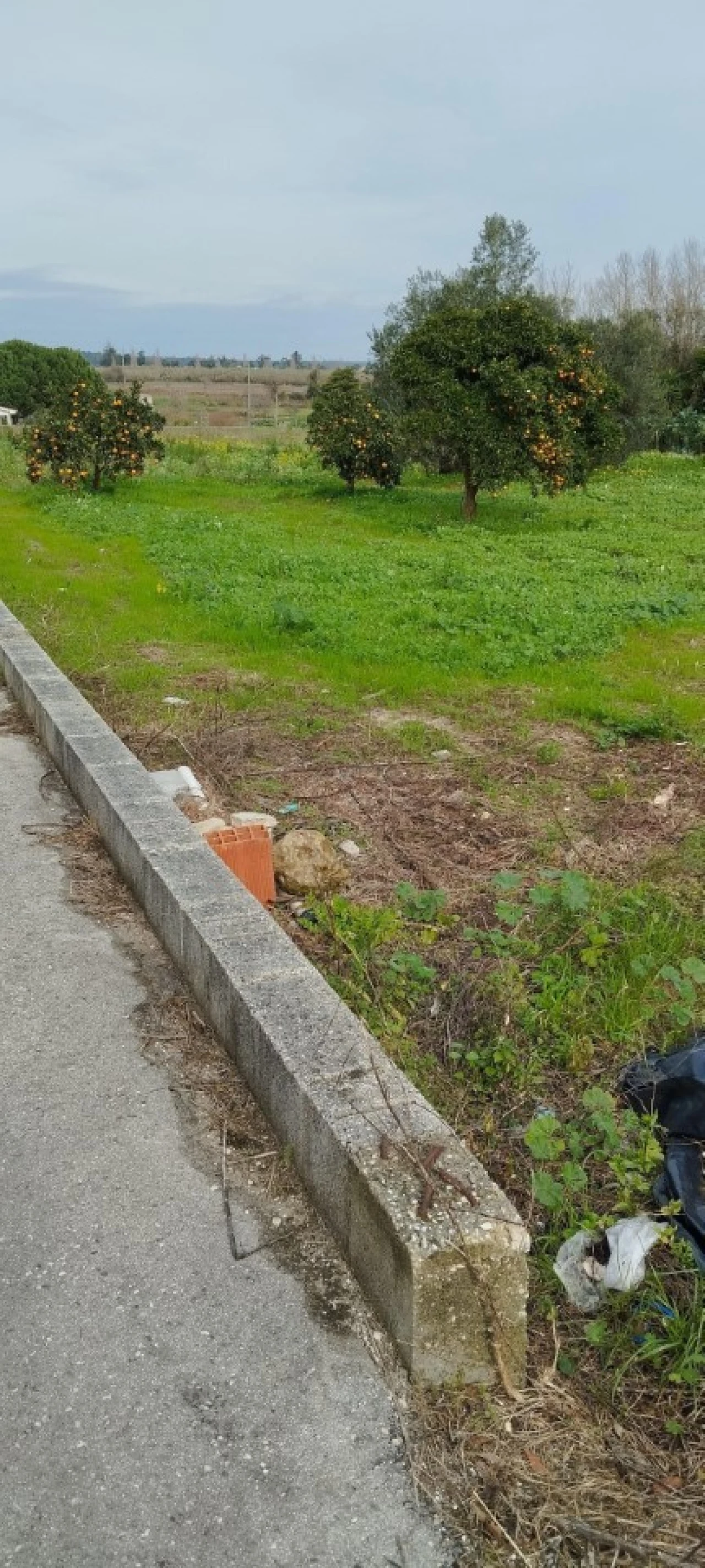Terreno para Venda em Monte Real e Carvide Foto 5
