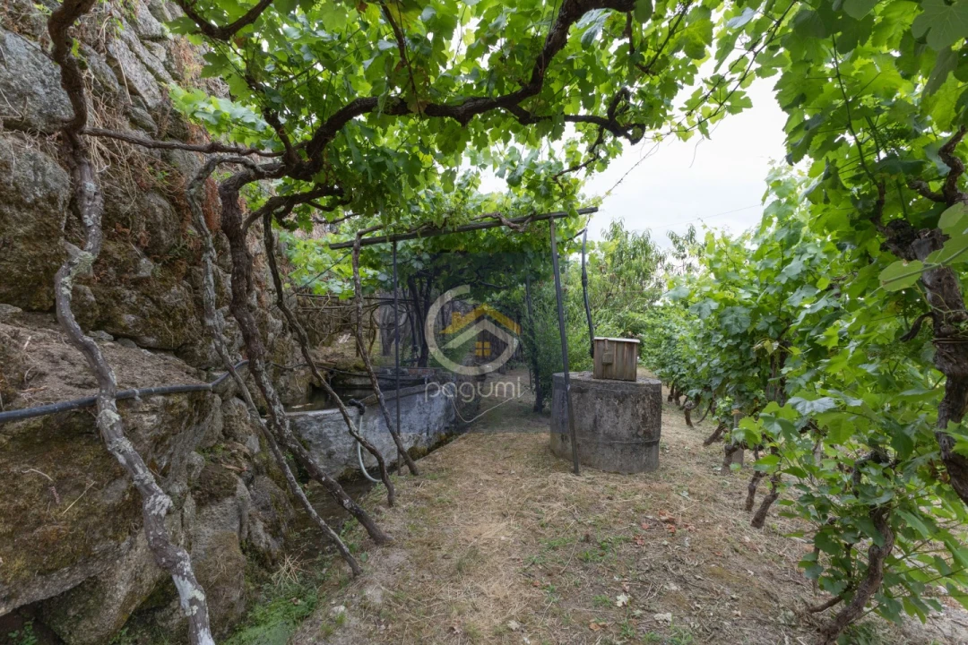 Moradia T5 para Venda em Santa Cruz do Douro e São Tomé de Covelas Foto 25