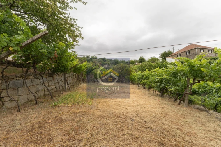 Moradia T5 para Venda em Santa Cruz do Douro e São Tomé de Covelas Foto 24