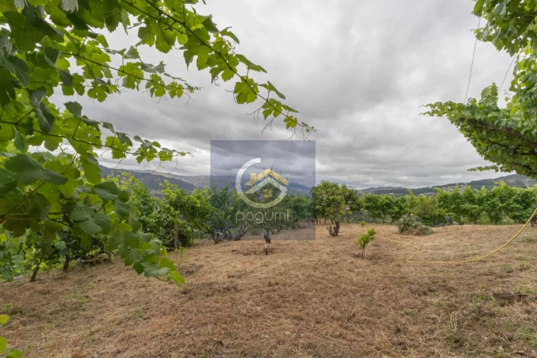 Moradia T5 para Venda em Santa Cruz do Douro e São Tomé de Covelas Foto 28