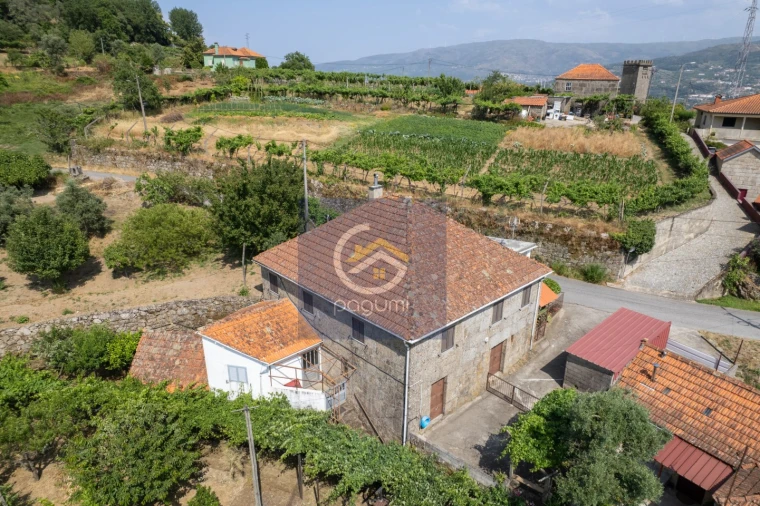 Moradia T5 para Venda em Santa Cruz do Douro e São Tomé de Covelas Foto 2