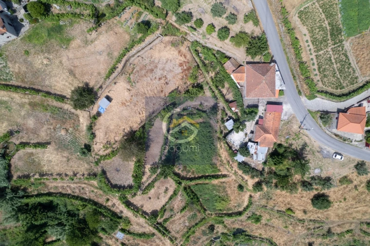 Moradia T5 para Venda em Santa Cruz do Douro e São Tomé de Covelas Foto 13