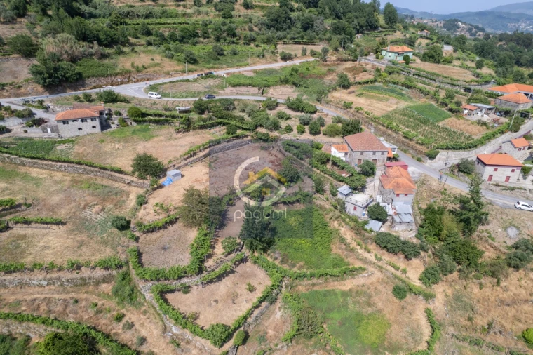 Moradia T5 para Venda em Santa Cruz do Douro e São Tomé de Covelas Foto 14