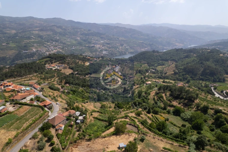 Moradia T5 para Venda em Santa Cruz do Douro e São Tomé de Covelas Foto 16