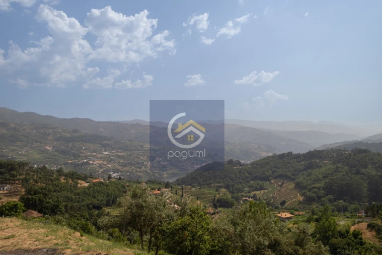 Moradia T5 para Venda em Santa Cruz do Douro e São Tomé de Covelas Foto 17