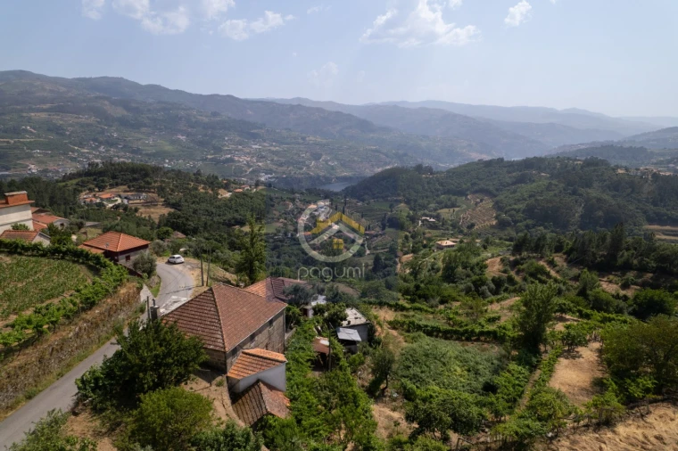 Moradia T5 para Venda em Santa Cruz do Douro e São Tomé de Covelas Foto 19