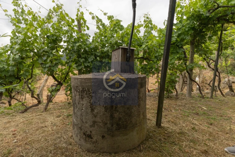 Moradia T5 para Venda em Santa Cruz do Douro e São Tomé de Covelas Foto 29