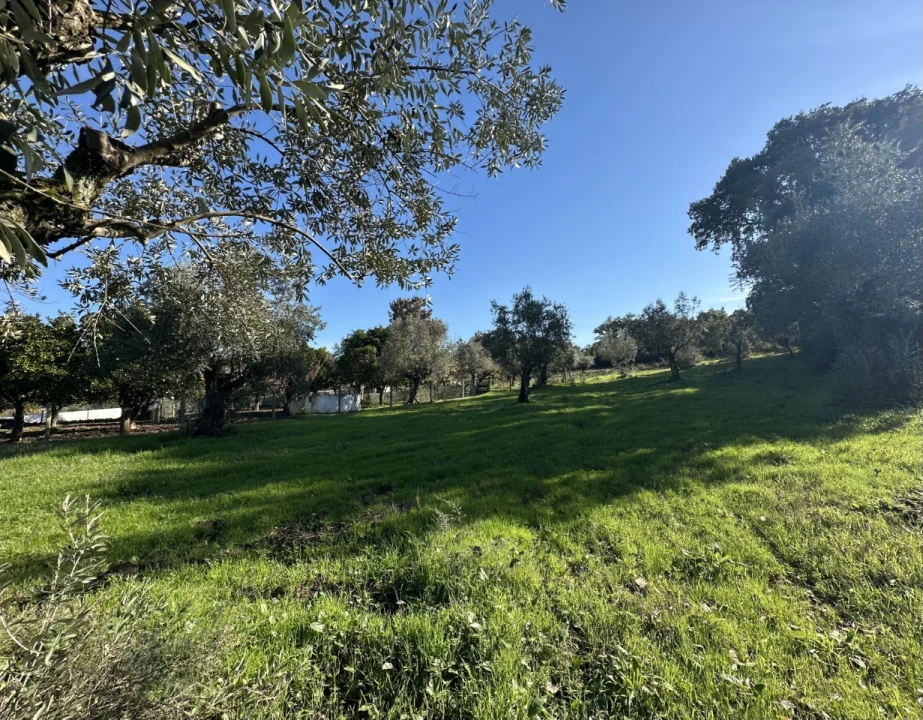 Terreno para Venda em Constancia Foto 5