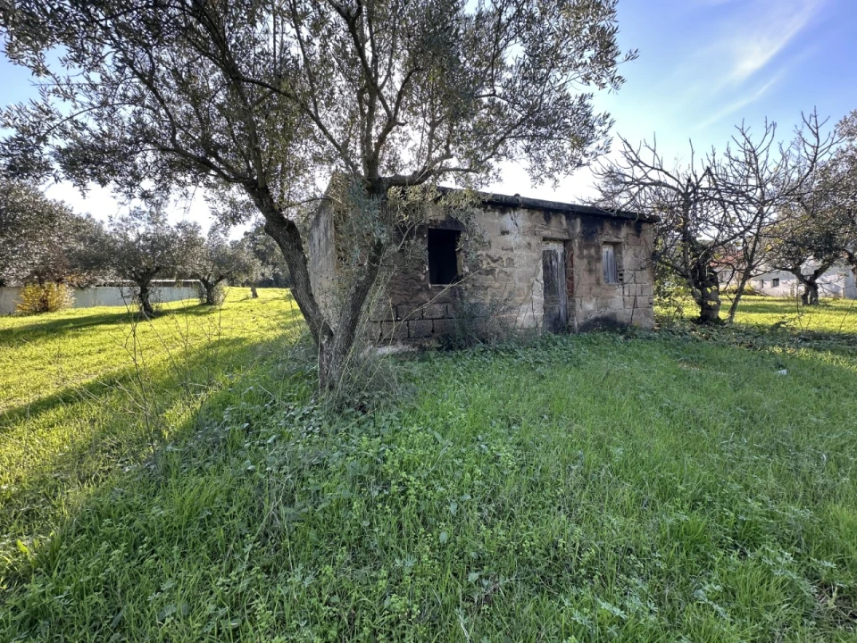 Terreno para Venda em Constancia Foto 21