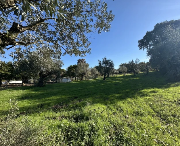 Terreno para Venda em Constancia Foto 6